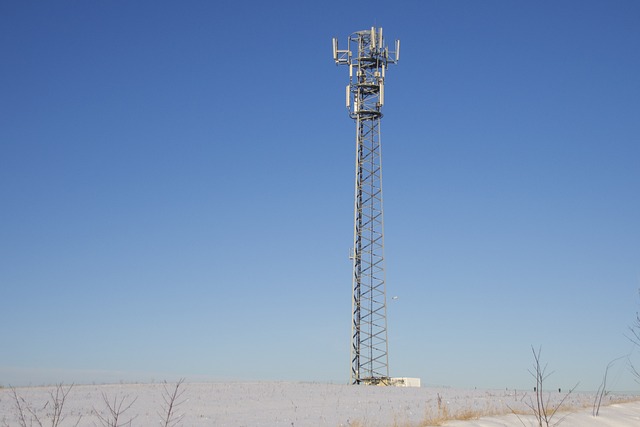 Miljøvenlig kommunikation: Cloud telefoniens rolle i en grøn fremtid